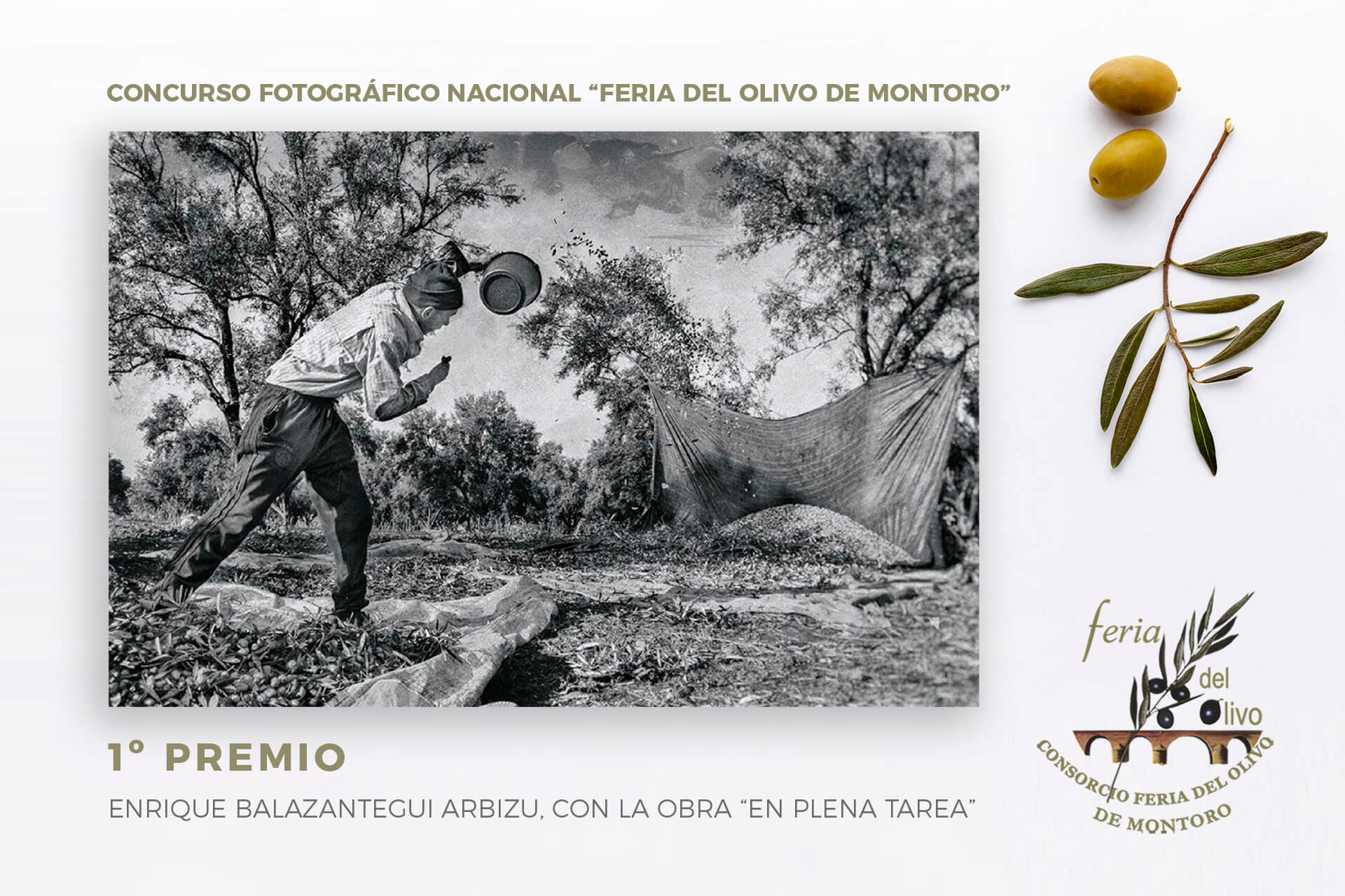 premios fotografía FERIA DEL OLIVO1º